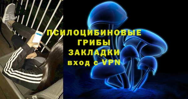 крисы Зерноград