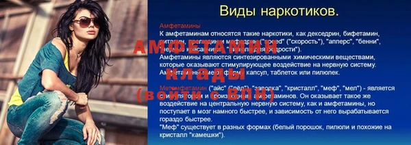 крисы Зерноград